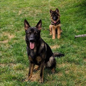 Meet your Posher, Mary